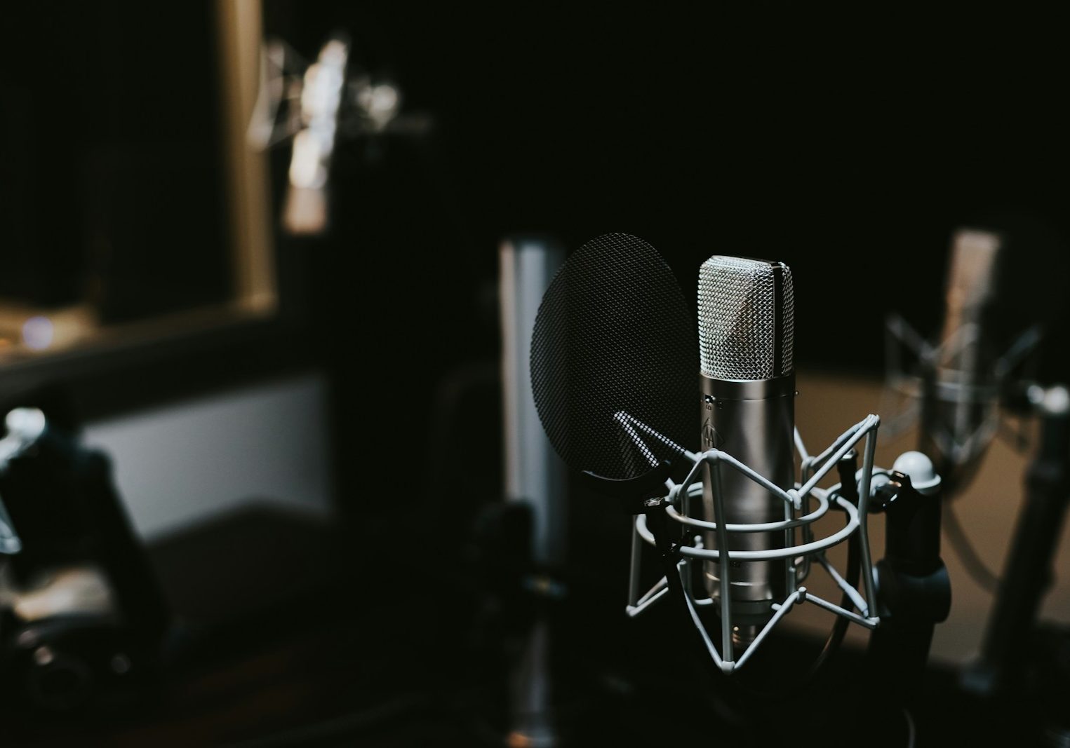 macro photography of silver and black studio microphone condenser